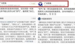 东方粉丝爆料视频大全,揭秘二次元世界的精彩瞬间