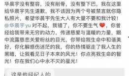 韩国好友爆料事件视频播放,事件视频播放背后的惊人真相揭露