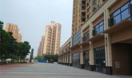 陈村荔园新闻最新爆料,揭秘荔园神秘事件真相揭晓