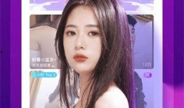 辛巴爆料主播视频大全下载,主播视频大全下载背后的真相与精彩瞬间