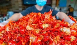 虾爆料新闻,揭秘娱乐圈最新热点事件