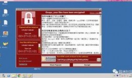 园洲今日爆料新闻直播,直播揭秘最新爆料事件