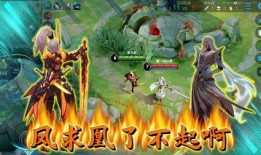 吕布爆料鸟哥视频大全,鸟哥视频大全背后的精彩故事