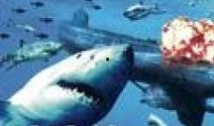 黑水狂鲨在线观看