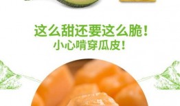 吃瓜免费公众号推荐,吃瓜免费公众号，带你畅享美食盛宴！