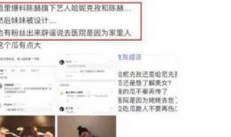 陈赫哈妮克孜爆料视频在线观看,揭秘娱乐圈幕后真相