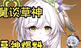 原神官方爆料草神视频,原神官方爆料视频深度解析