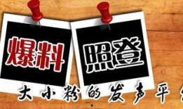宝鸡市新闻爆料平台官网,聚焦民生，传递声音