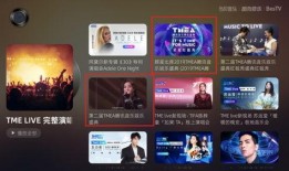 爆料娱乐音乐有哪些,揭秘流行乐坛幕后故事