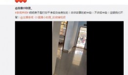 房东爆料直播视频大全最新,最新视频大全深度解析