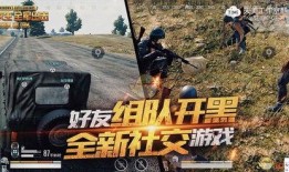 阿贝绝地求生爆料视频大全,揭秘游戏幕后秘密与精彩瞬间
