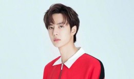 娱乐大爆料苏新皓视频大全,视频全集精彩回顾