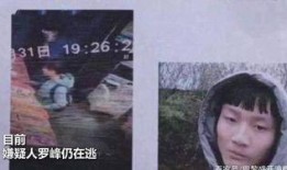 家庭纠纷新闻爆料,邻里矛盾引发社区关注