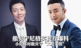 撒贝宁爆料小尼视频在线观看,揭秘幕后精彩瞬间