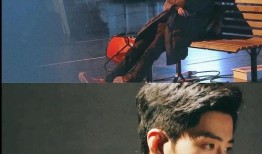 圈内爆料肖战目前的发展,从爆红到稳步发展，娱乐圈新星的崛起之路