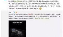 内鬼爆料全家福视频,独家全家福视频背后的惊人真相