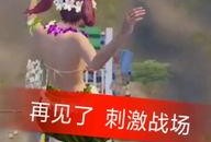 雪哥王者爆料者视频下载,揭秘游戏内幕与精彩瞬间