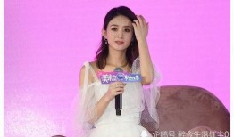 赵丽颖闺蜜爆料视频事件,真相与争议交织