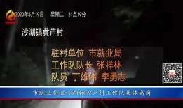 彩访广州爆料视频大全,揭秘城市生活百态