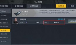 禁运品 在线观看,在线观看背后的秘密与挑战