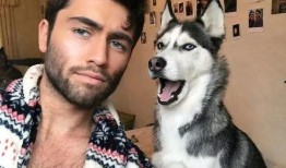 视频爆料 二哈王子,视频爆料背后的萌宠传奇