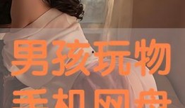 男孩玩物在线观看,揭秘虚拟世界的诱惑与挑战