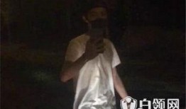 粉条爆料视频完整版,食品安全背后的惊人真相