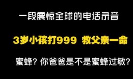 999热线在线观看,紧急救援背后的真实故事