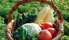 网红夫妻商务吃瓜,一场商务吃瓜大揭秘