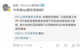 最新皮肤爆料信息大全,揭秘热门英雄新装风采