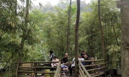 大竹子邻居爆料视频,惊人真相曝光！