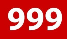 999热线在线观看,紧急救援背后的真实故事