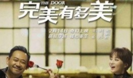 完美有多美在线观看,探索极致之美，揭秘完美背后的故事