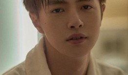 苏志燮被爆料分手视频,独家视频揭露分手真相