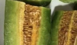 有哪些网红吃瓜视频,揭秘娱乐圈幕后故事