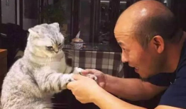 猫老四爆料爸爸视频大全,爸爸视频大全背后的温馨瞬间