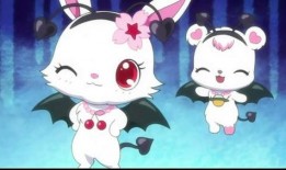 小熊爆料兔子视频大全集,兔子视频大全集精彩瞬间汇总