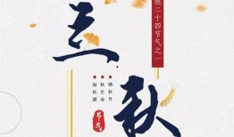 重生摆烂吃瓜免费阅读,免费阅读，畅享人生逆袭之旅