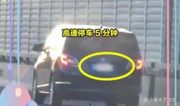 刘浩存助理爆料了吗视频,揭秘背后真相与内幕