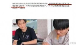 小杨哥爆料游戏视频播放,游戏视频播放幕后揭秘