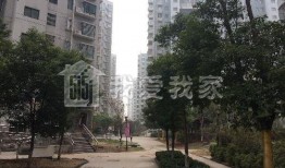 七彩星城爆料视频最新下载,揭秘最新下载背后的精彩瞬间