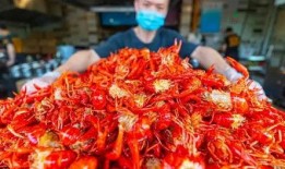 虾爆料新闻,揭秘娱乐圈最新热点事件