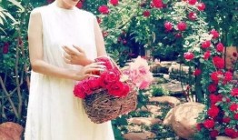 花店老板娘最新爆料新闻,最新爆料新闻背后的惊人真相