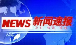 新闻爆料 视频素材,视频素材揭示惊人真相