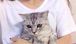 网红猫吃贝贝瓜图片大全,贝贝瓜图片大全萌态十足