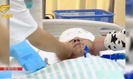 脑死亡在线观看,在线观看带你走进生命终结的边缘