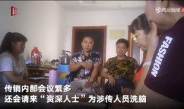 刘团长内部爆料视频播放,揭秘幕后的惊人真相