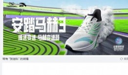 持续爆料张继科视频,揭秘运动员背后的故事