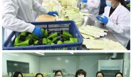 唐山医护爆料事件真相视频,真相揭露与反思