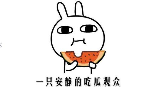 网络上吃瓜是什么意思,吃瓜群众的趣味解读